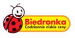 logo bidronka