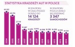 statistika krádeží aut v Polsku